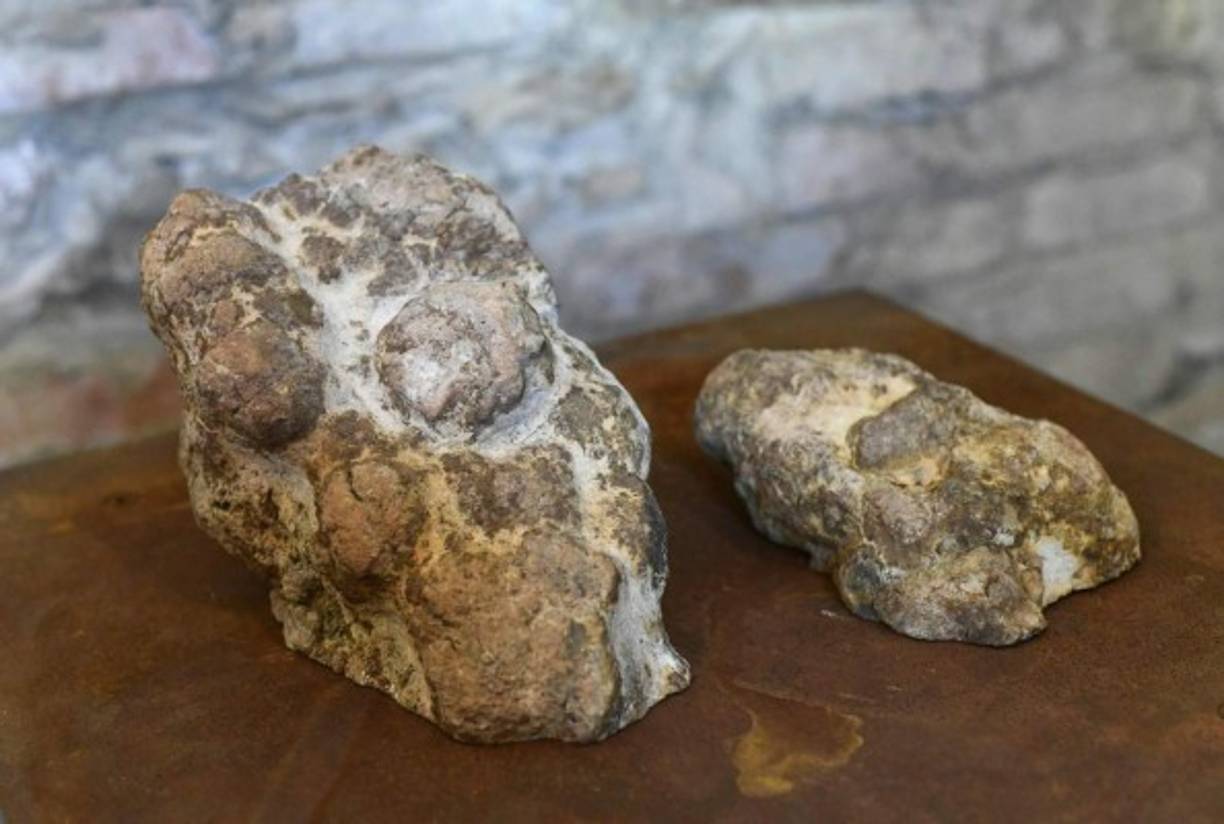 Una de las piezas más impresionantes del museo: Excremento de dinosaurio.