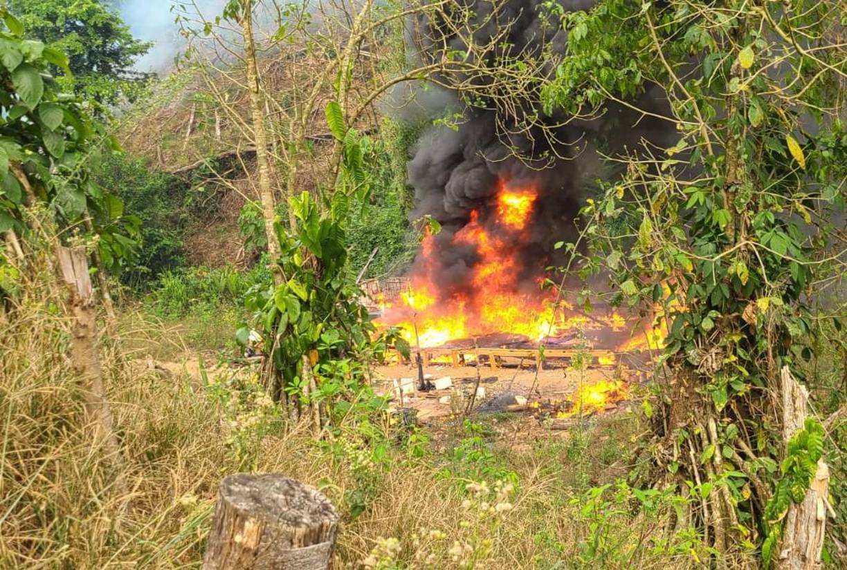 También fueron destruidas cuatro estructuras rústicas utilizadas para la extracción de alcaloides y almacenamiento de insumos químicos.