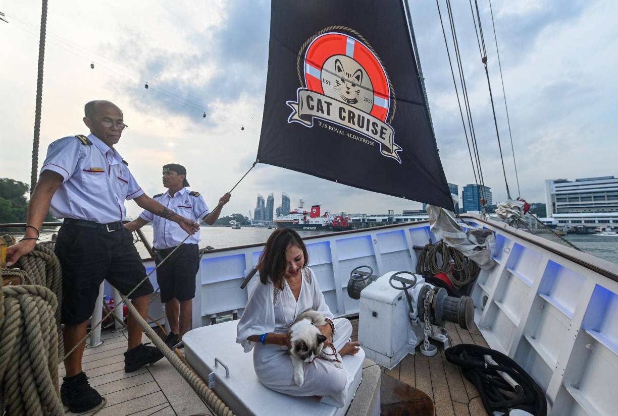 La compañía Tall Ship Adventures asegura que consultó a expertos y asociaciones de defensa de los animales para proporcionar la mejor experiencia posible a las mascotas. 