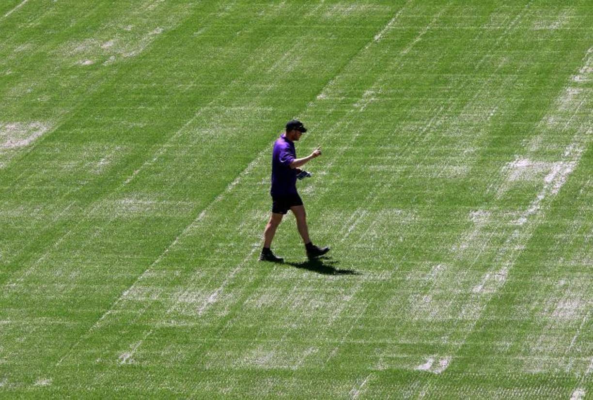 El riego del engramillado del coloso capitalino se mantiene al día para contar con la mejor germinación de la grama.