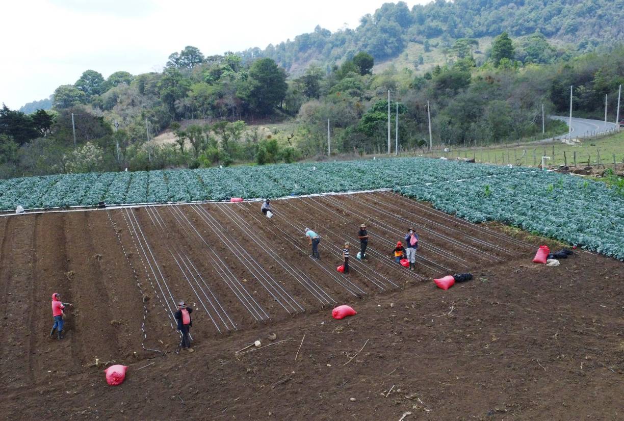 <b>Hay falta de apoyo al agricultor con capital semilla y los accesos a los caminos productivos están en muy mal estado, afirmó Tania Pinto, una de dos diputados que tiene el departamento. El Partido Nacional ha predominado entre el gusto político de los ocotepecanos.</b>