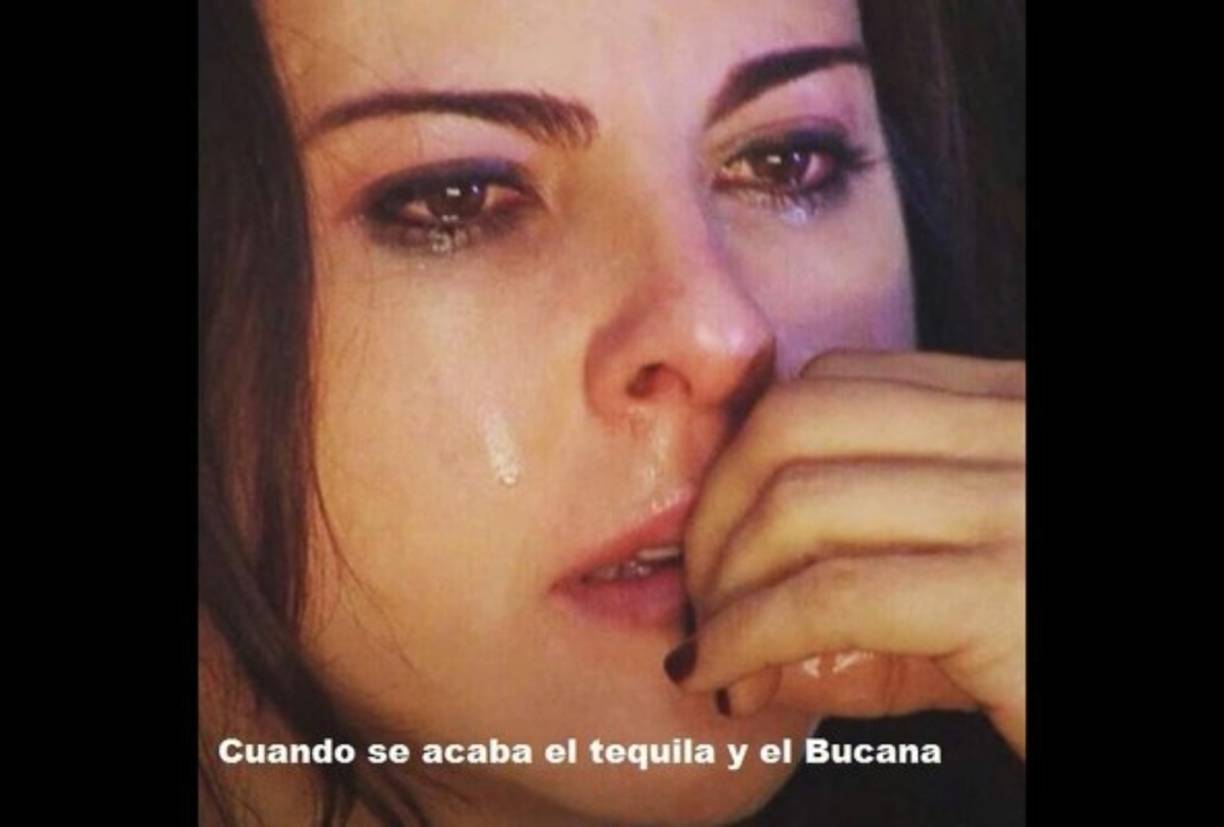 'El Chapo' y la actriz empezaron a intercambiar cartas y mensajes de chat afectuosos y de admiración mutua a través del celular, donde Del Castillo le confesaba que sería un 'sueño' conocerlo y el capo la llamaba 'hermosa' y le prometía: 'Te cuidaré más que a mis ojos'.