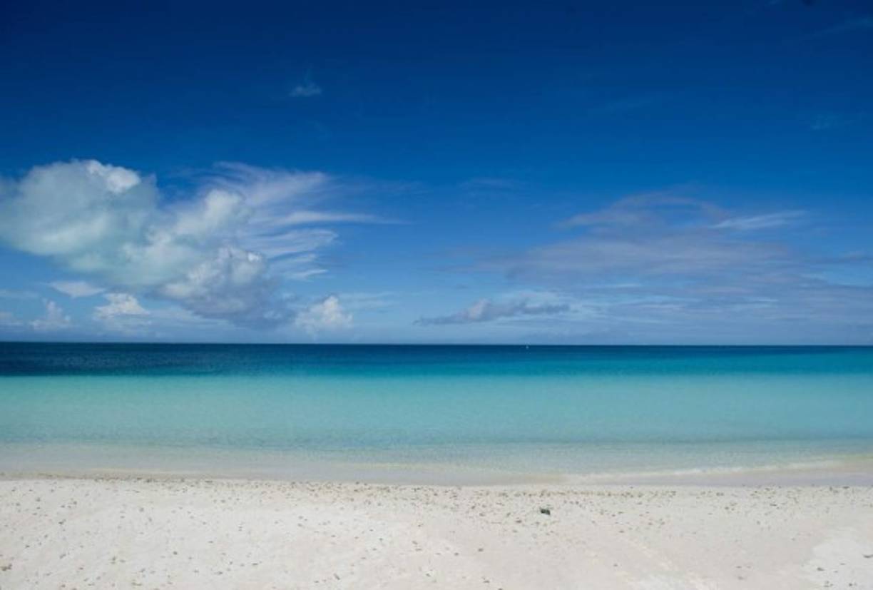 Papahanaumokuakea, uno de los paraísos del mundo, tiene al menos 7.000 especies marinas, algunas en peligro de extinción, como las ballenas, las focas monje de Hawai o las tortugas marinas, así como al coral negro.