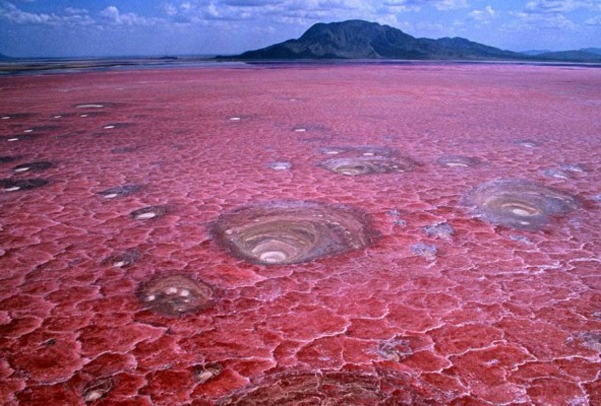 Según la revista New Scientist, el lago recibe su nombre del natrón, un componente conformado por carbonato de sodio y pequeñas cantidades de bicarbonato de sodio. Esta mezcla viene de las cenizas volcánicas desde el Gran Valle del Rift hacia el lago.