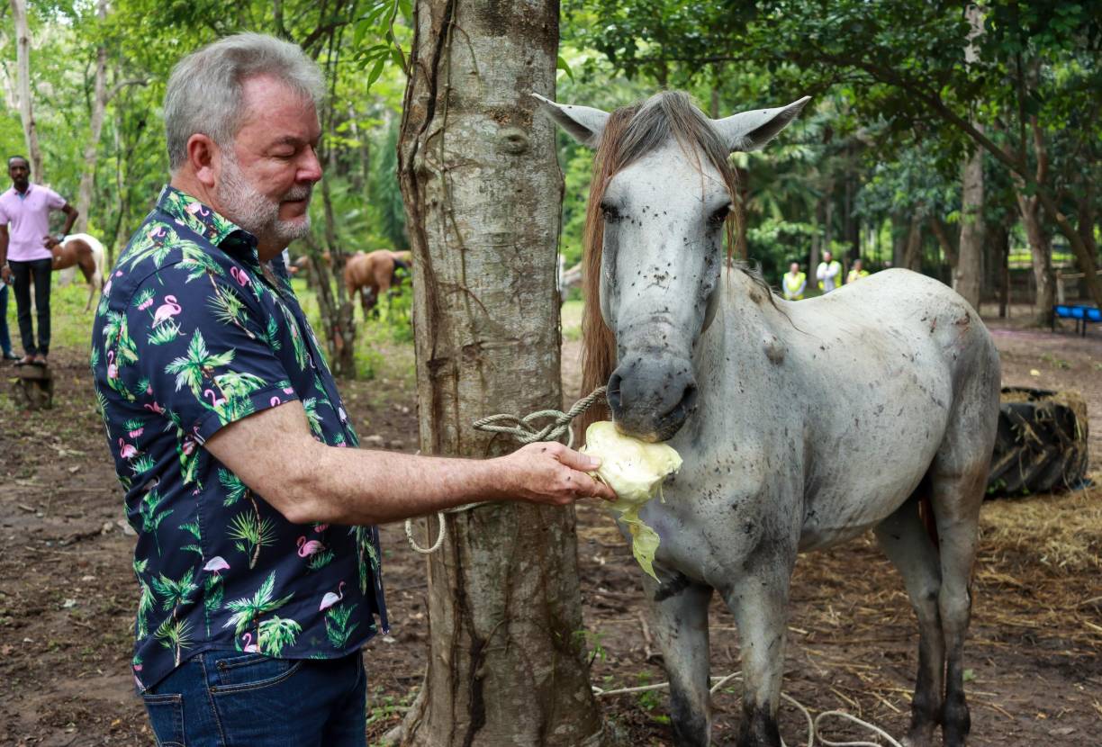 Lucero ahora luce diferente al día en que fue decomisado
