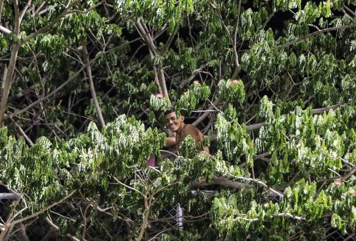 ¡EN LA ZONA VIP! Este aficionado estuvo disfrutando del encuentro desde una zona muy peculiar y única.