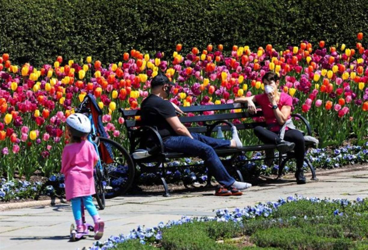 Las imágenes de las aglomeraciones en el Central Park causaron indignación en redes sociales.