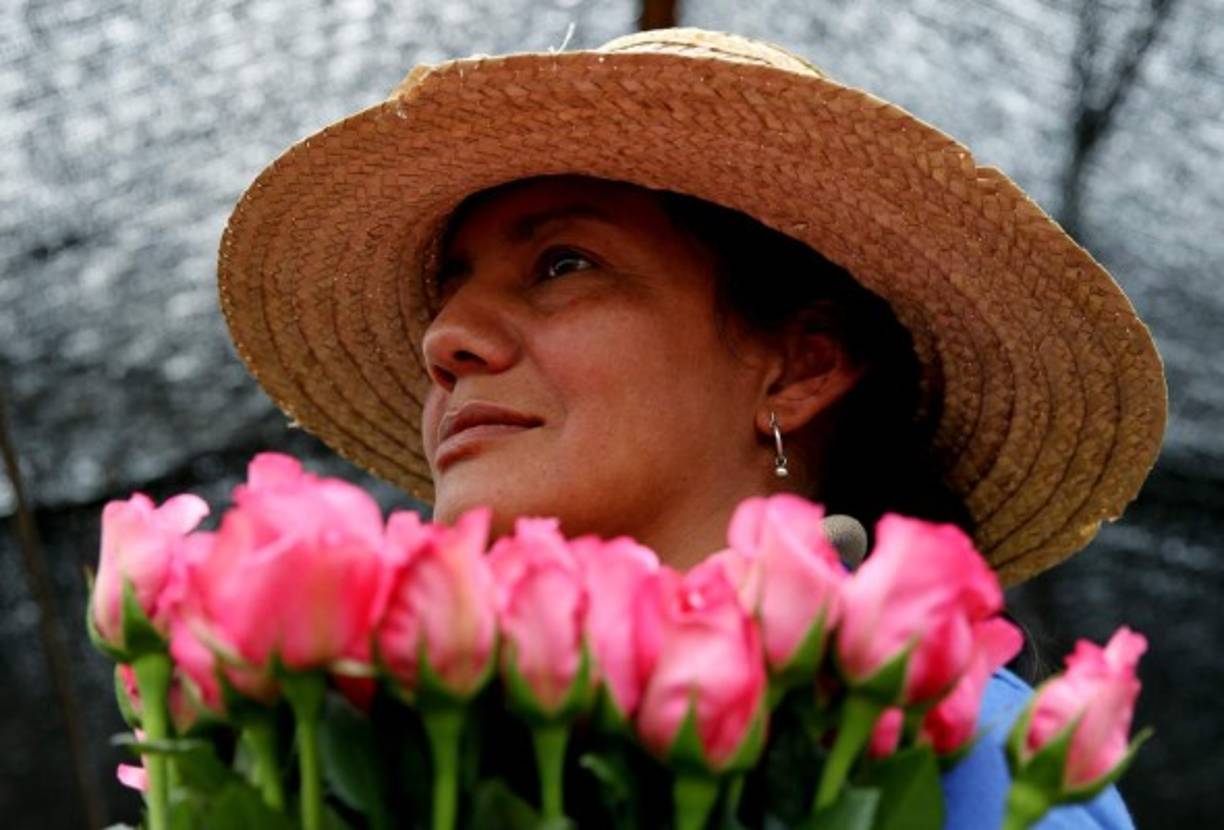 <br/>Las rosas suelen ser las grandes protagonistas de la temporada, y el año pasado la importación de esta flor ascendió a una cifra de 275 millones, mientras que los ramos compuestos por ella supusieron 76 millones.