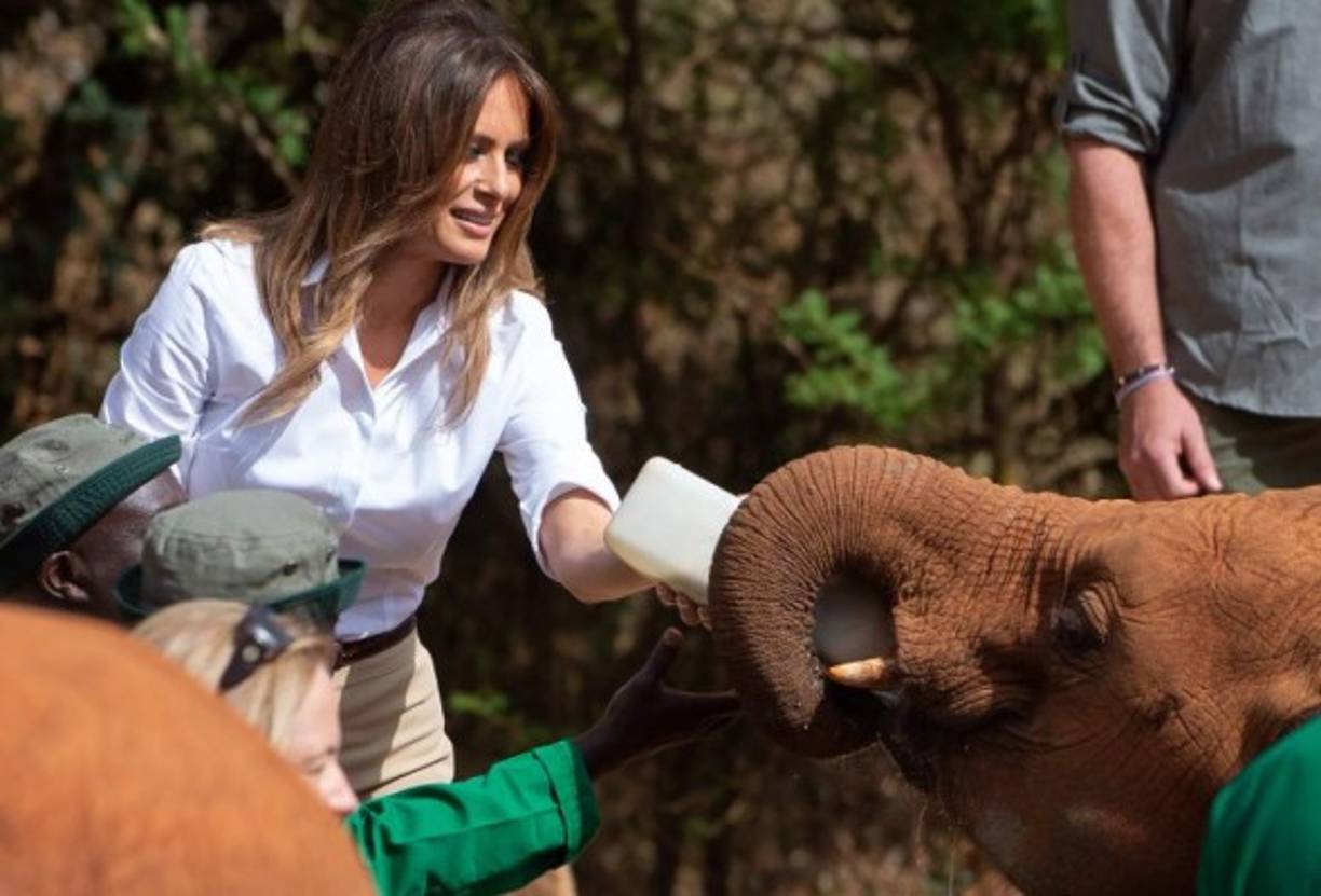 Melania disfrutó alimentando a los elefantes en el famoso parque de Nairobi.
