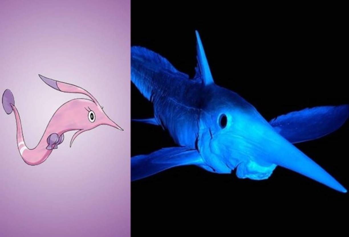 Gorebyss - Quimera de Nariz Larga.