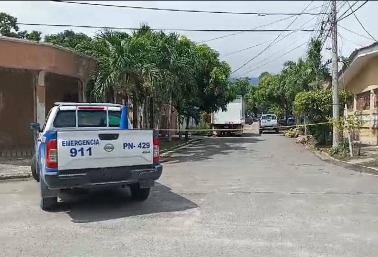 Su asesino, cuya identidad y paradero se desconoce, le infirió una mortal herida en su cuello con un cuchillo. 