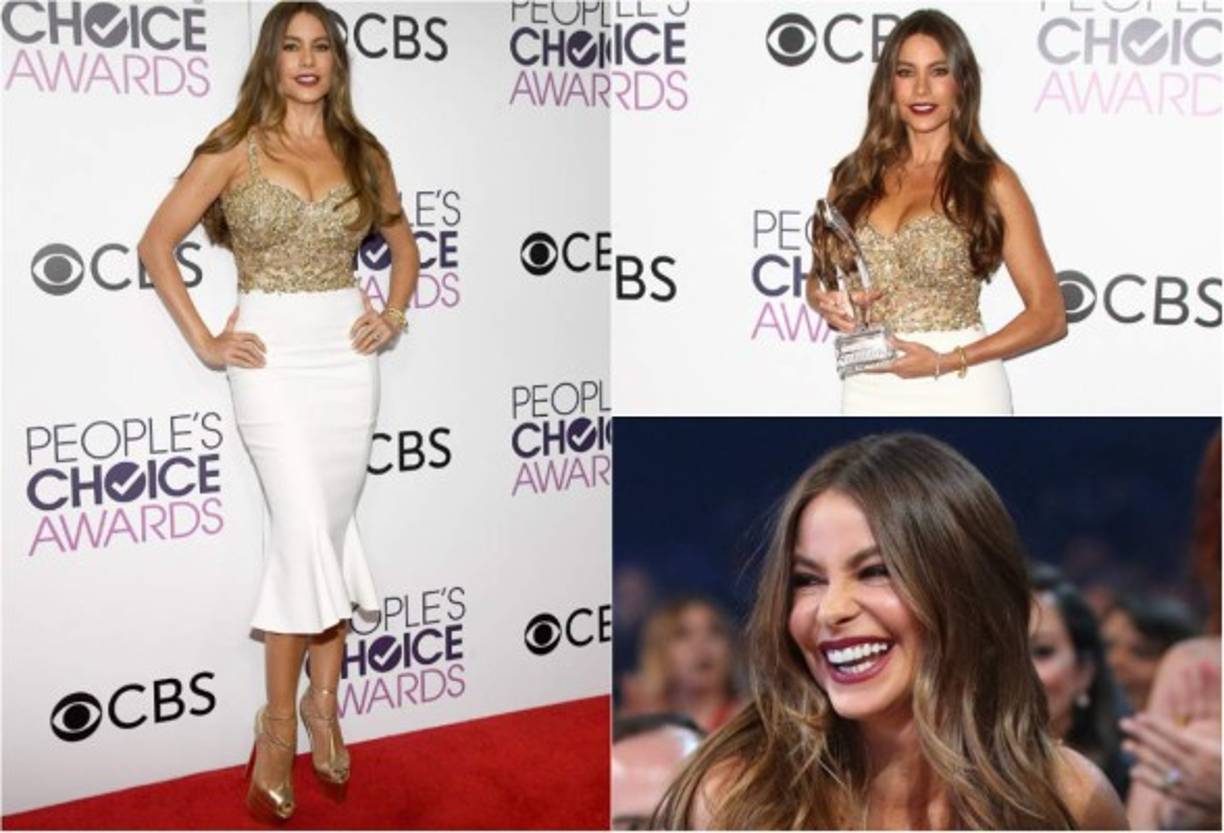 Sofía Vergara fue otra de las famosas que se vio esplendorosa en alfombra roja.<br/><br/>Antes de ganar el premio a mejor actriz cómica de TV por su papel en la serie 'Modern Family', la colombiana se lució con un atuendo de Marchesa Pre-Fall 2017.