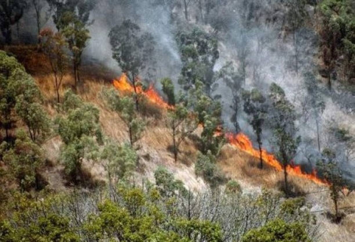 Según los bomberos, las llamas comenzaron a las 9:00 de la mañana a la altura de la colonia El Sitio en una pista de motocross que está ubicada a la orilla de la carretera.