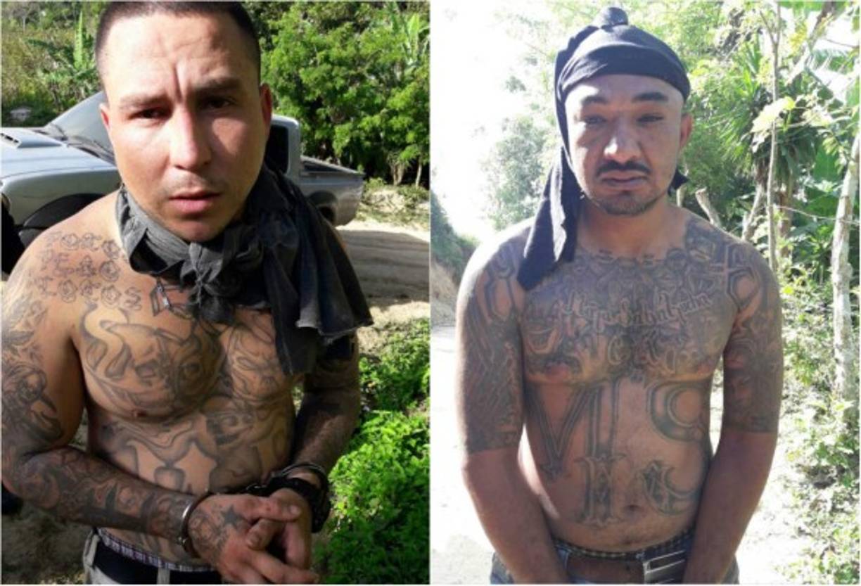 Dos cabecillas de la Mara Salvatrucha fueron capturados este miércoles en una montaña del municipio de El Negrito.