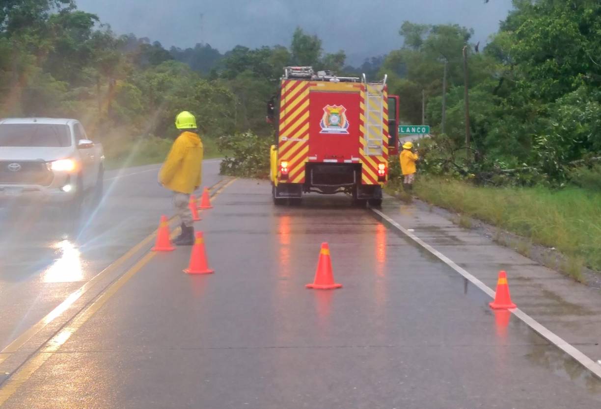 Además, bomberos atendieron reportes de árboles caídos sobre la calzada. 
