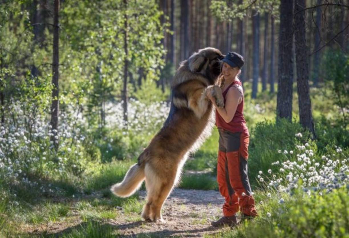 A Maren le encantaba el senderismo y los paseos por el bosque o la playa con su perro, su fiel amigo.