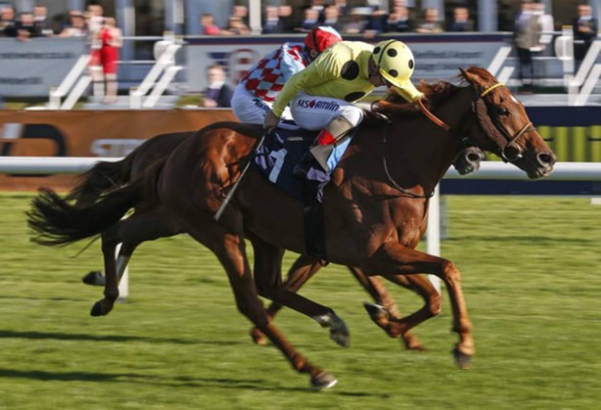 CARRERA. Velocidad en el césped. Andrea Atzeni (amarillo) monta a Logan y galopa a toda velocidad hasta la meta para ganar la competencia The Sports ID en el hipódromo de Doncaster, Reino Unido.