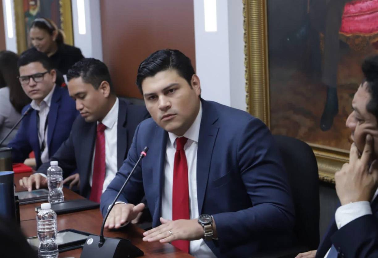 Es considerado el funcionario descarrilador del gobierno. Sus exabruptos y sus virulentos ataques a la oposición llevaron al rompimiento del acuerdo que tenían las bancadas en el Congreso Nacional para discutir y aprobar la denominada Ley de Justicia Tributaria. Su discurso de odio también ha espantado la inversión extranjera y predispuesto a la empresa privada.