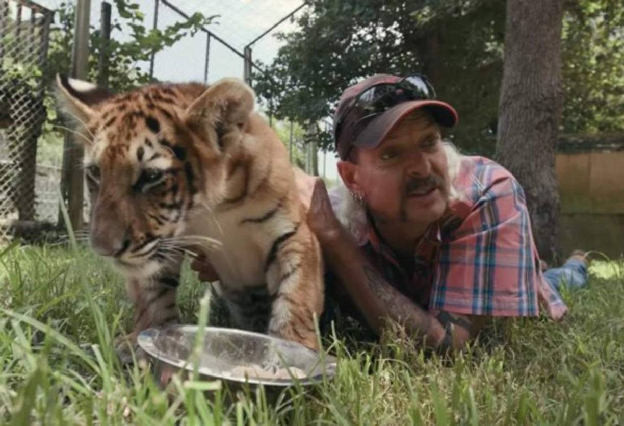 MIRA: <a href='https://www.laprensa.hn/fotogalerias/farandula/1370197-411/casa-papel-4-actores-villanos-mas-odiados' style='color:red;text-decoration:underline' target='_blank'>Casa de papel: quienes son los más odiados de la temporada 4</a>