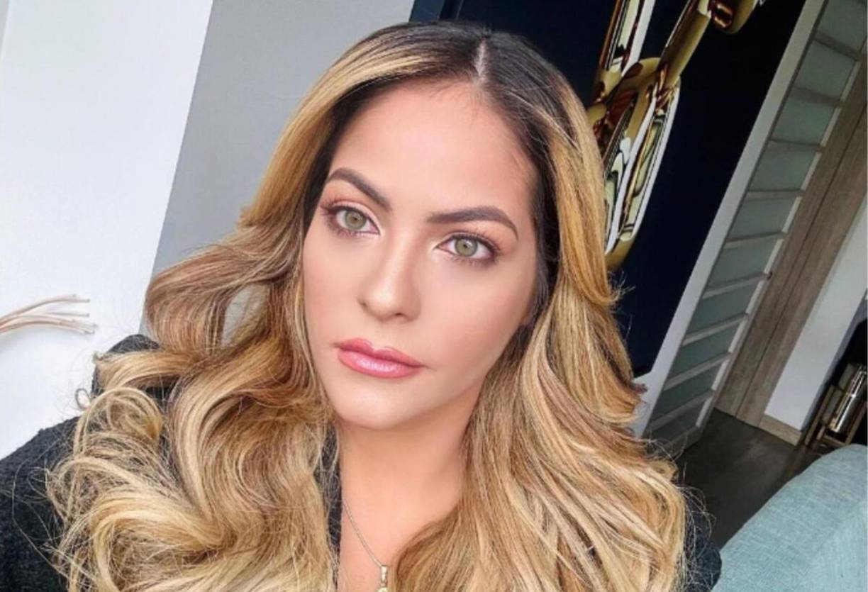 En cuanto a Vásquez, además del lavado de dinero, se le imputó un cargo de violación de datos personales por la “invasión de la intimidad de Laura Ojeda”, actual pareja de Petro Burgos, de quien obtuvo “información privilegiada” para saber desde cuando su ahora exesposo “empezó a entablar diálogo y relación” con ella.