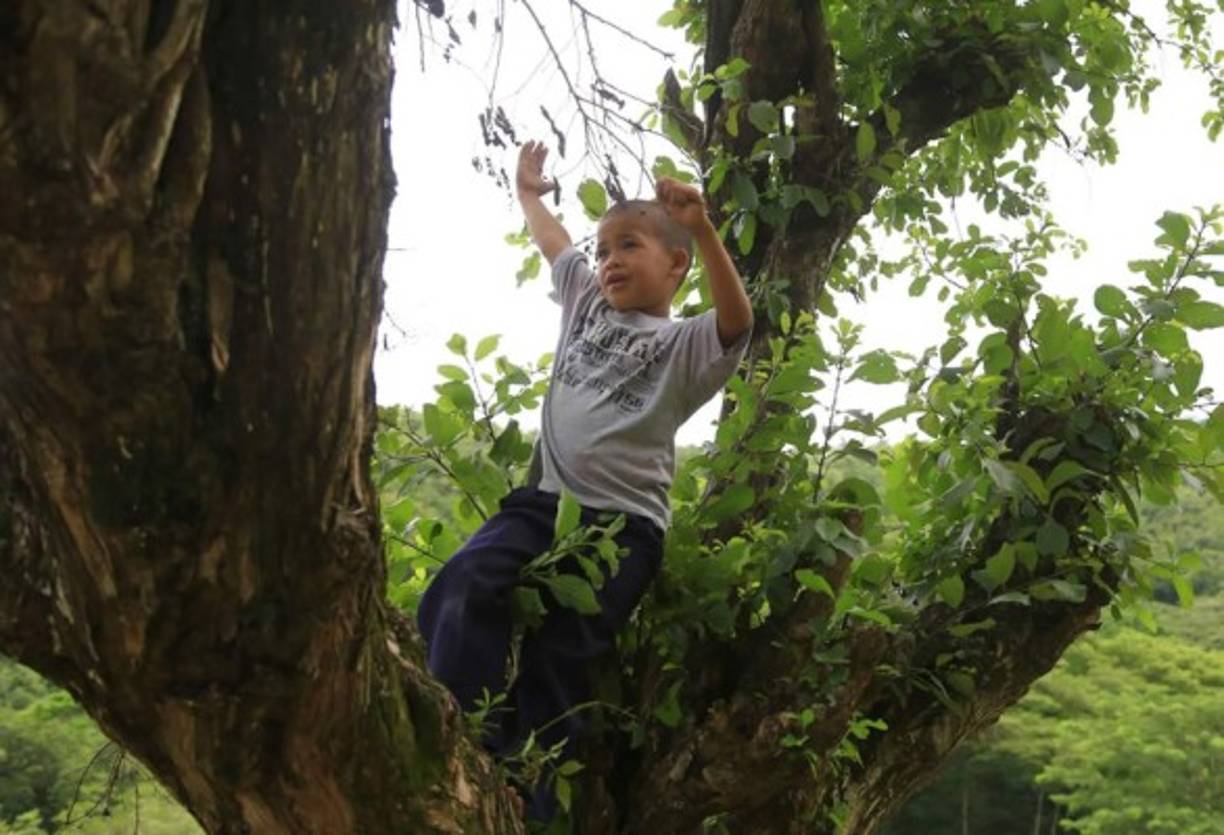 Los hechiceros dijeron que el niño estaba muerto y que su cuerpo estaba enterrado en un lugar cercano.