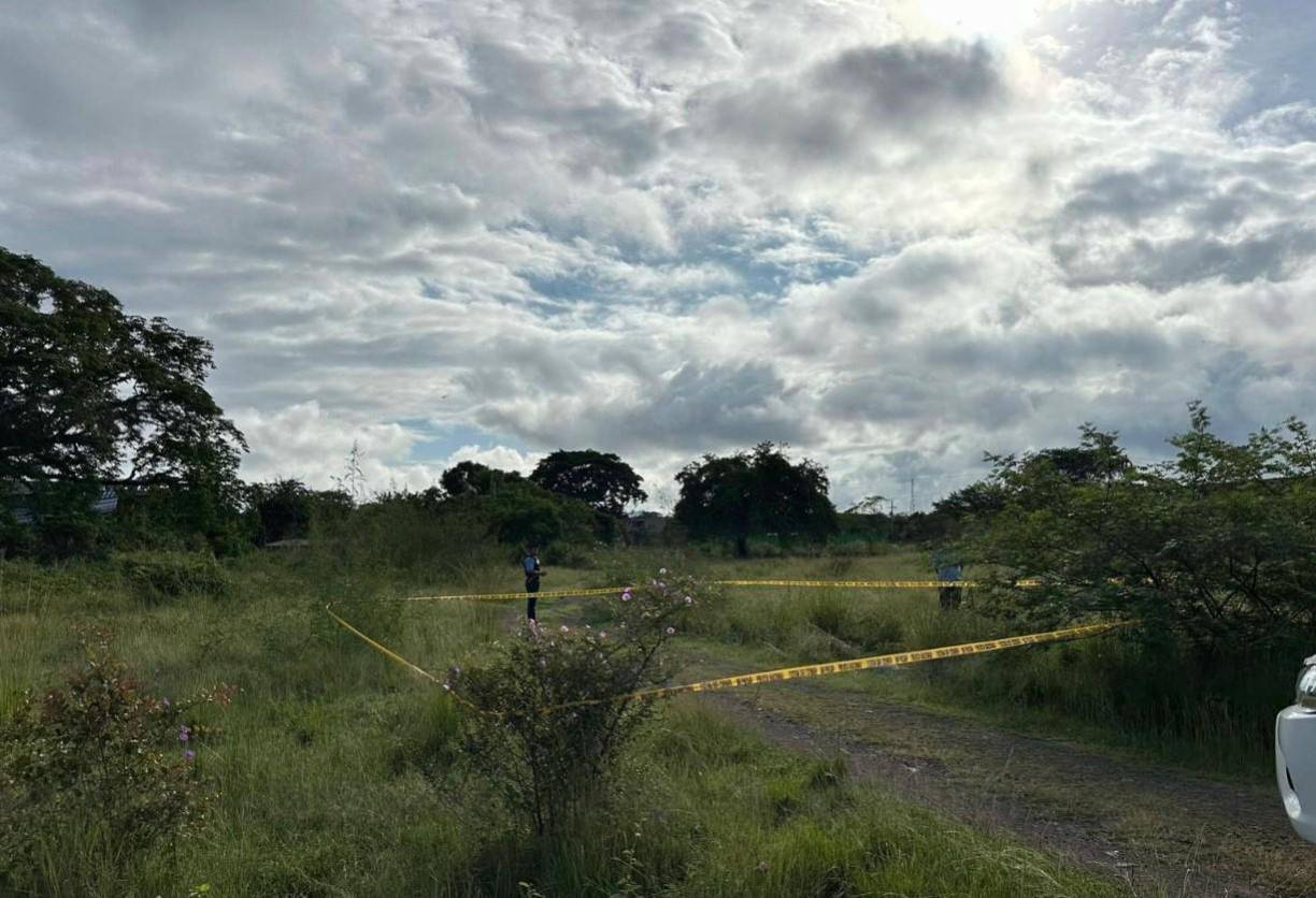 El cuerpo sin vida de la maestra fue encontrado este viernes en un solar baldío, a orillas del bulevar Gustavo Ayes, en Juticalpa. 