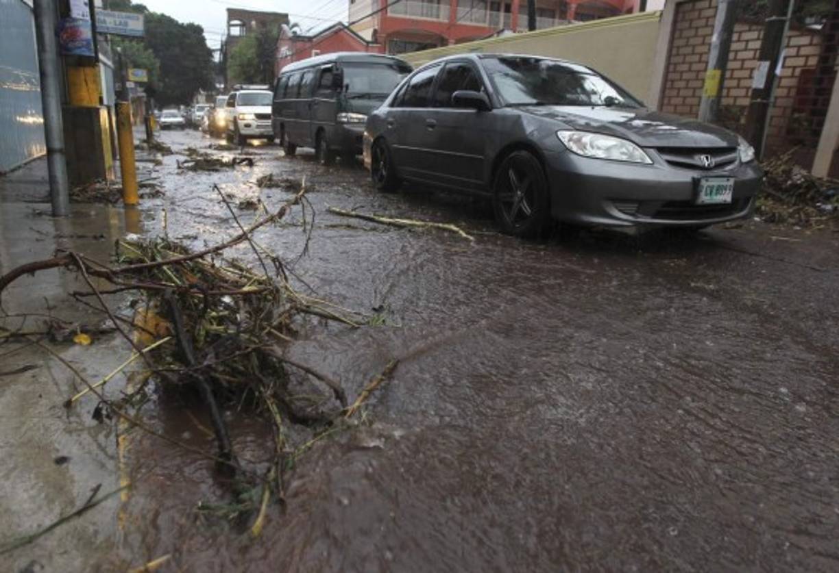 Las lluvias y los vientos derribaron ramas y árboles en la colonia Alameda.