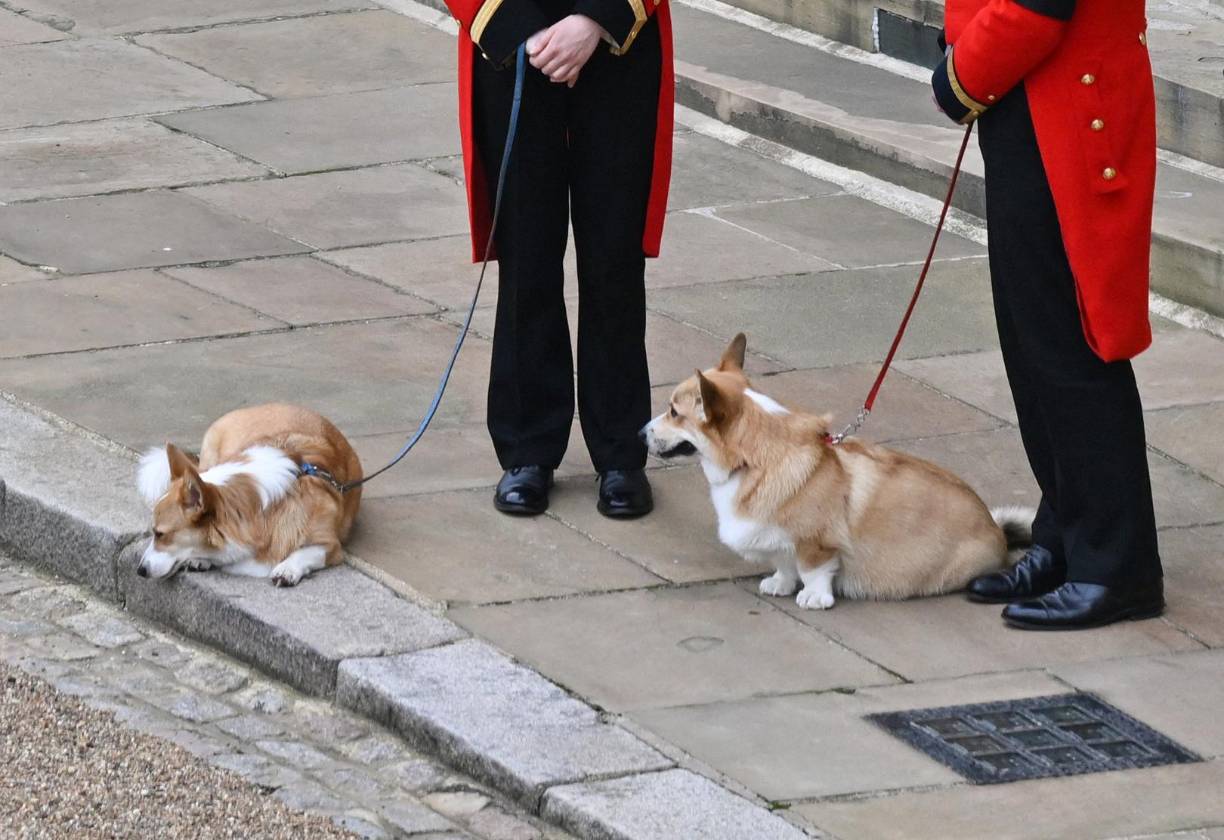 Otra de las imágenes más conmovedoras del evento fue la despedida de los corgis de Isabel II.