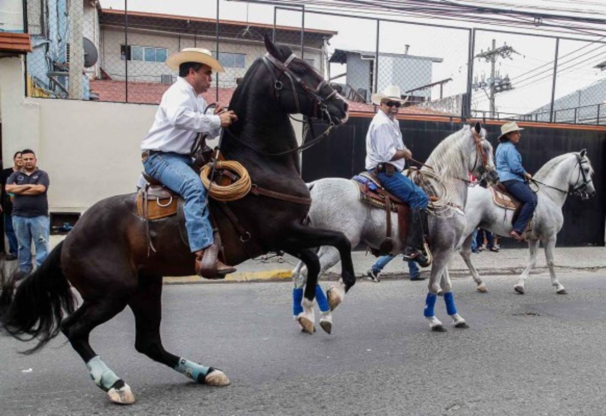 Un caballo sallta mientras su dueño lo luce calmado.