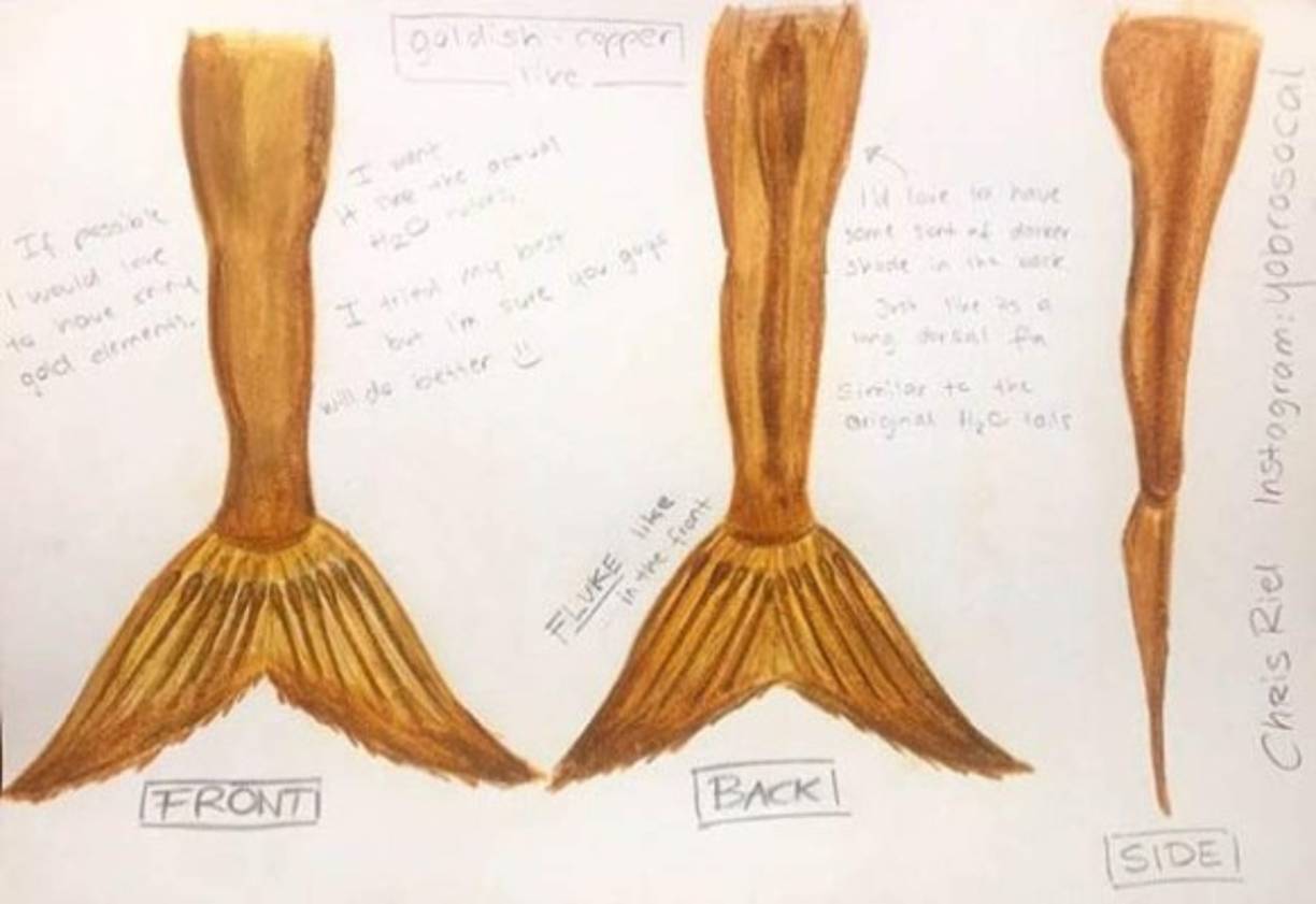 El estudiante universitario se relaja regularmente en la bañera en el levantamiento e incluso lo toma para darse un chapuzón en el océano. 'La Sirenita de Disney me hizo descubrir mi amor por el océano y el mar', explicó.