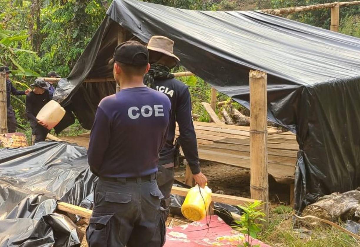 La Policía Nacional informó que durante esta operación se utilizó tres helicópteros y doce vehículos tipo pickup para la movilización de los equipos antidrogas.
