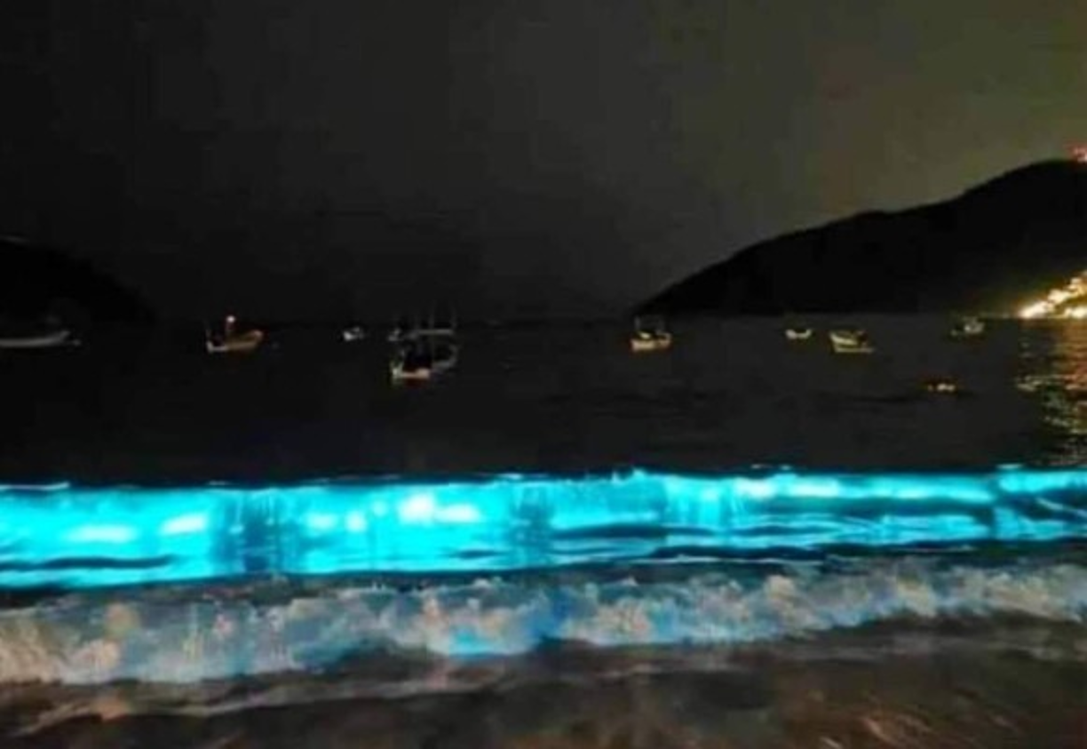 Este evento es habitual en algunas playas de México, turistas y locales acuden todas las noches a ver las aguas color azul.