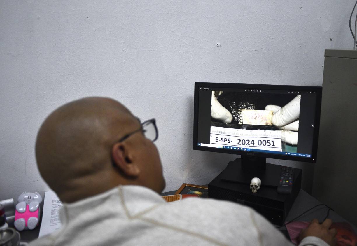 De todas las personas encontradas, solo cinco han sido identificadas por las autoridades forenses, la identificación del resto sigue en proceso.