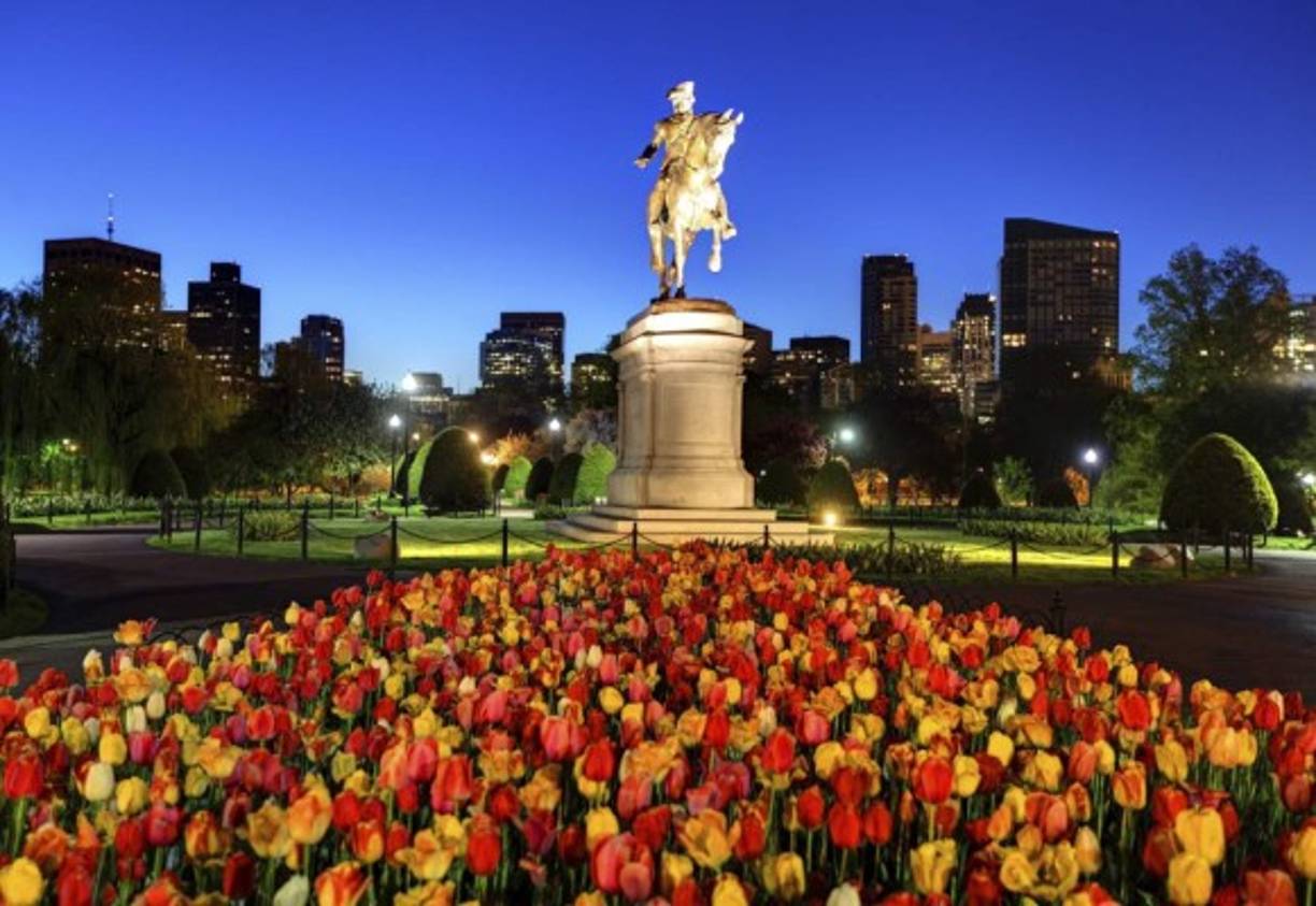 Boston. Entre abril y mayo, las flores aparecen y le dan color a los parques y paseos. Los narcisos y tulipanes florecen en los jardines públicos.