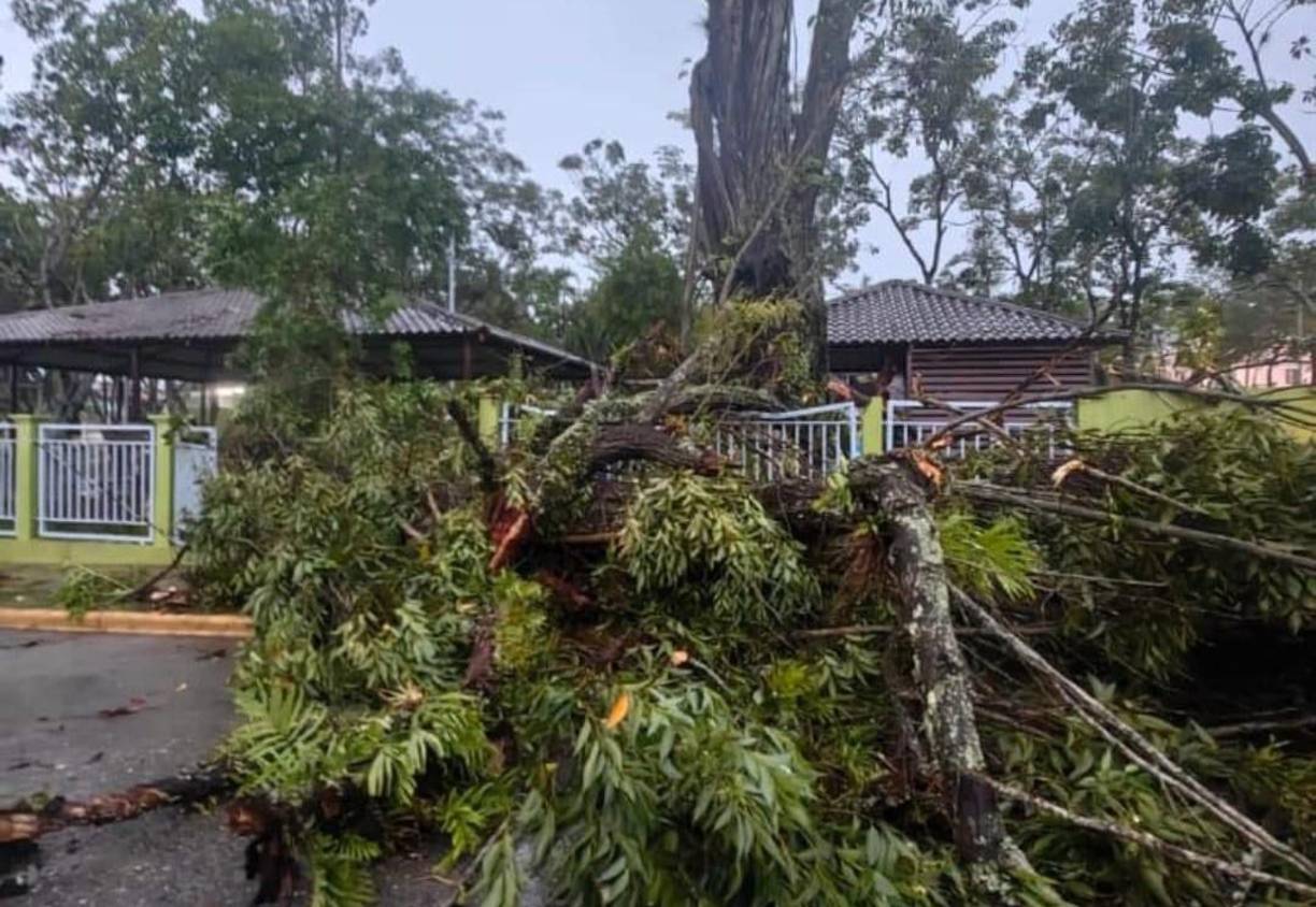 Según la Secretaría de Gestión de Riesgos y Contingencias Nacionales (Copeco), este fenómeno que ingresó el viernes al territorio nacional, seguirá afectando y generando lluvias este domingo en Honduras. 