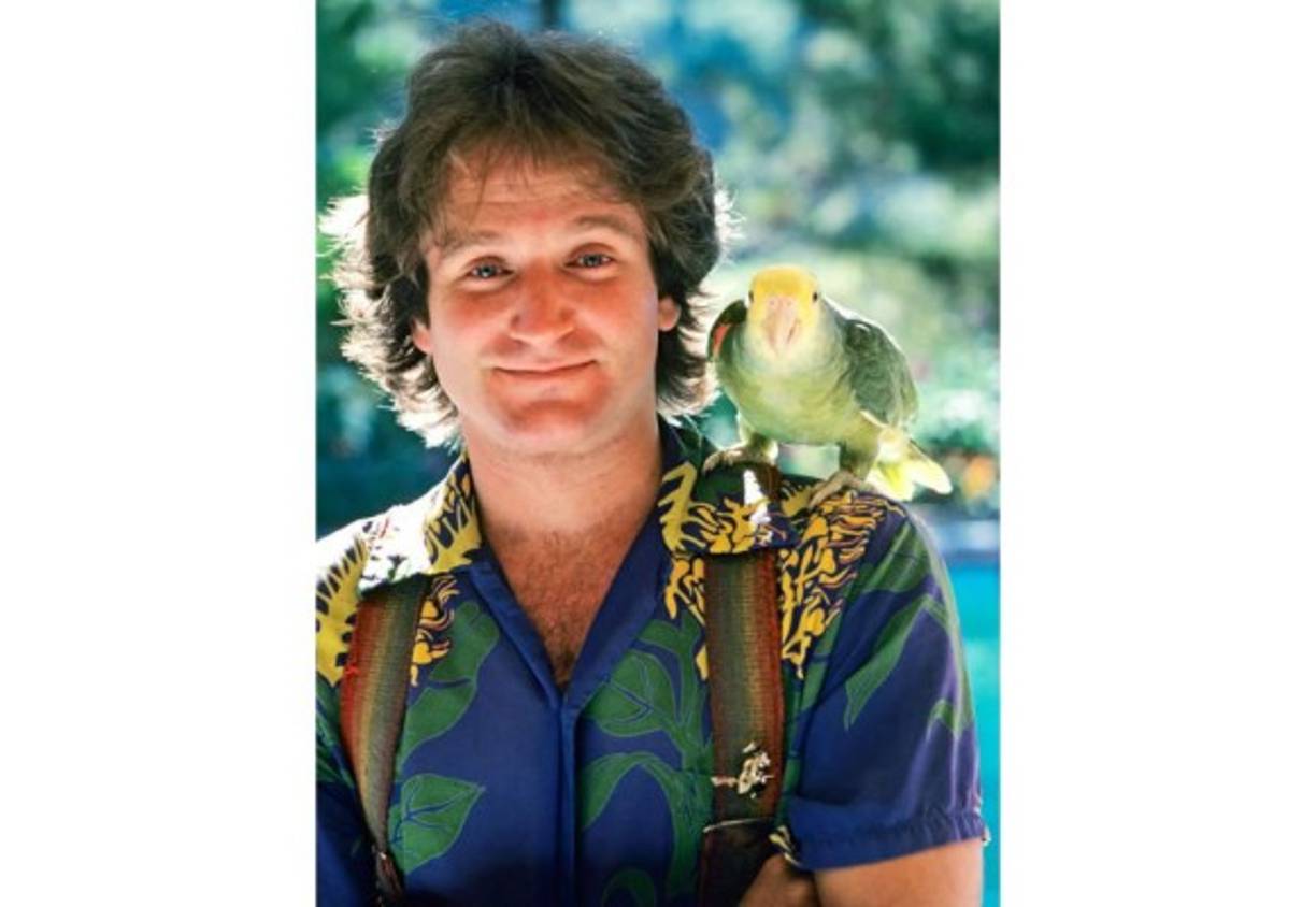 En 1978 estrenó la primera temporada de la serie Mork & Mindy (ABC).