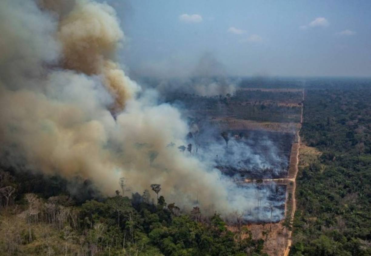 Porto Velho, la capital del estado de Rondonia (norte), amaneció con una leve neblina de humo y olor a quemado traídos por los vientos de los incendios forestales de la región.