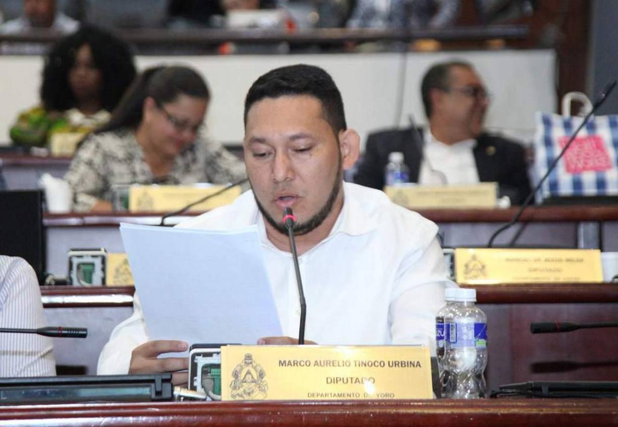 Vicepresidente VII: Marco Antonio Tinoco Urbina.