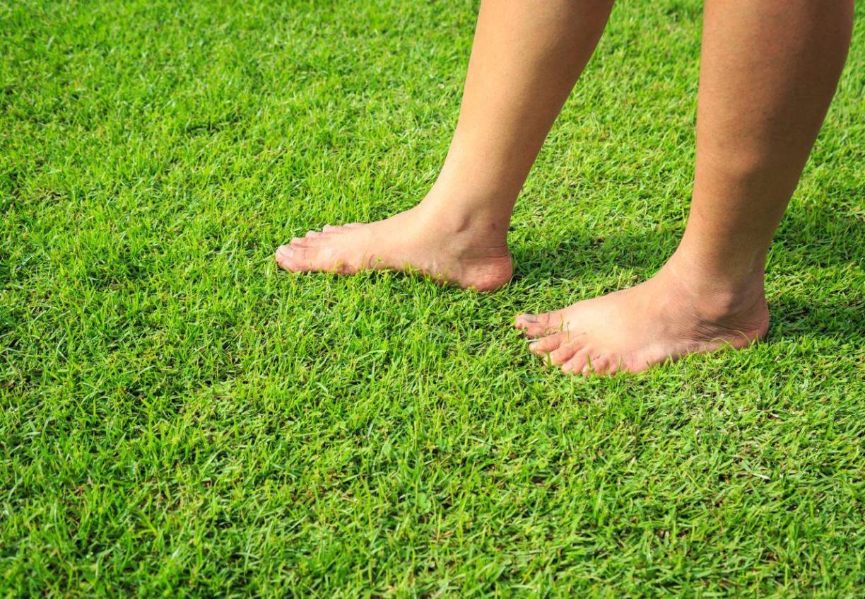 Técnica de ecoterapia ”Earthing”:También se le conoce como grounding, cuya traducción es “conectarse con la tierra”. La idea de esta técnica es centrase en descubrir el equilibrio en el cuerpo de se encuentra afectado. Esto por medio de una reconexión eléctrica del mismo organismo con la tierra.Para lograrlo es necesario realizar diversas actividades como caminar descalzo en la arena o sobre la hierba, darse un agradable baño con agua caliente. Practicar senderismo, abrazar un árbol, observar el mar y meditar en un entorno natural, son otras de las actividades que se pueden realizar con el earthing.