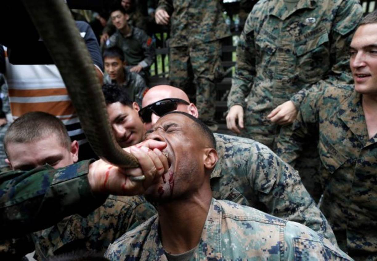 Se supone que la sangre es hidratante y que se puede utilizar como último recurso si un soldado no encuentra agua tras perderse en la selva.