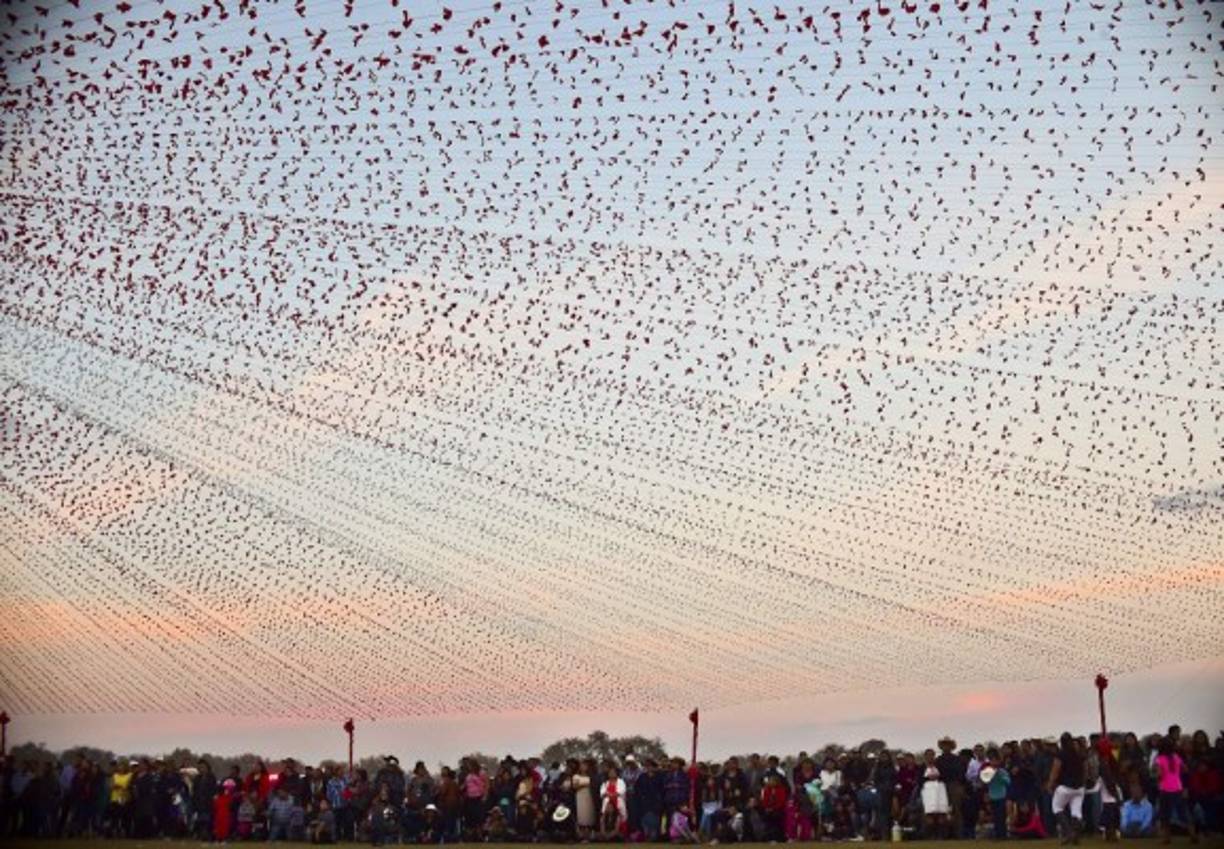 La tarde y noche se iluminó para la quinceañera.