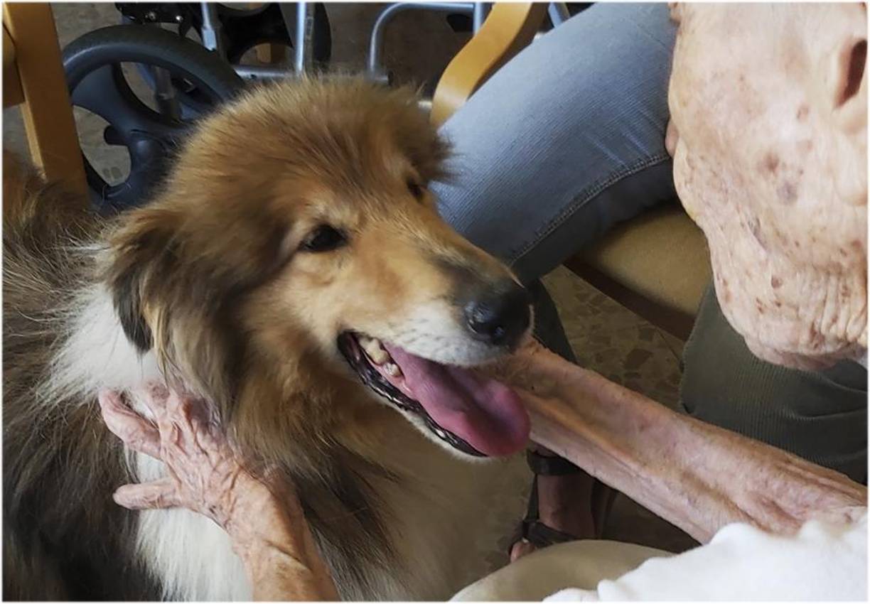 María Branyas Morera solía mostrar en su cuenta de X el amor que sentía por sus perritos.
