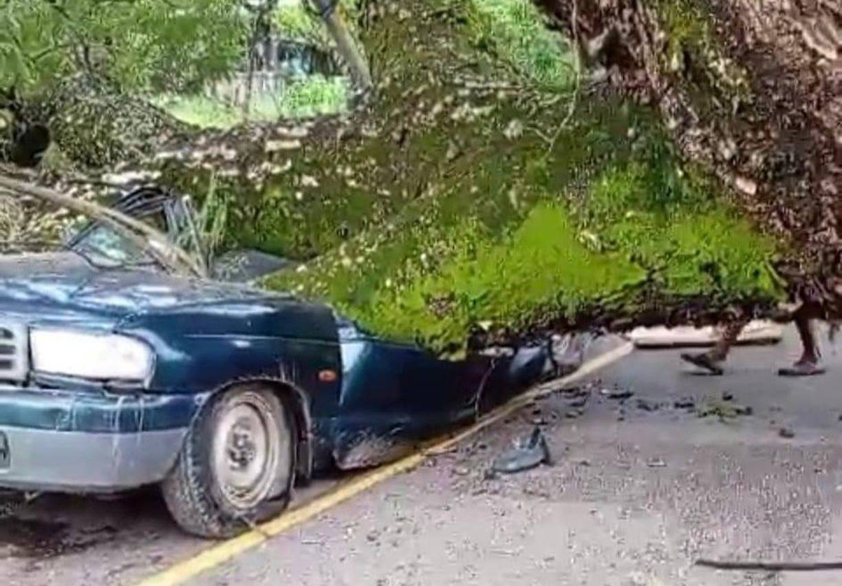 Mientras que la menor herida responde al nombre de Cindy, de 17 años de edad. 