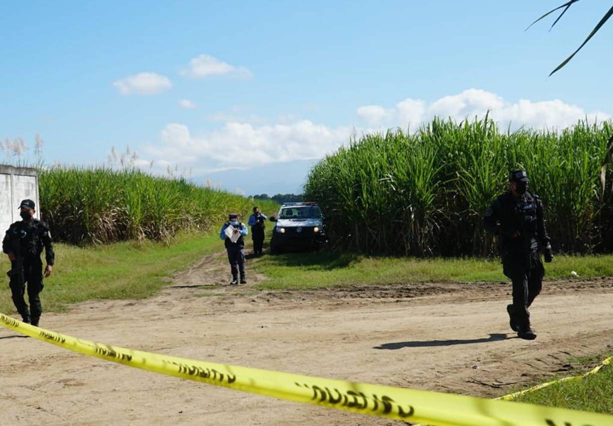 En lo que va de 2022, en Cortés se ha registrado 539 homicidios, según cifras del Sistema Estadístico Policial en Línea (Sepol). 