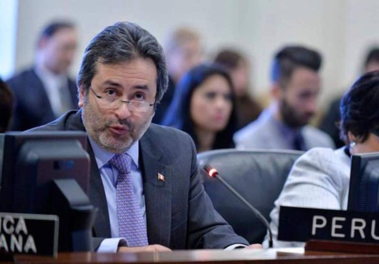 La Misión de Apoyo Contra la Corrupción y la Impunidad en Honduras (Maccih) de la Organización de Estados Americanos (OEA), pidió hoy a la Policía Internacional (Interpol) que capture a diez prófugos implicados en un millonario desfalco del Instituto Hondureño de Seguridad Social (IHSS).