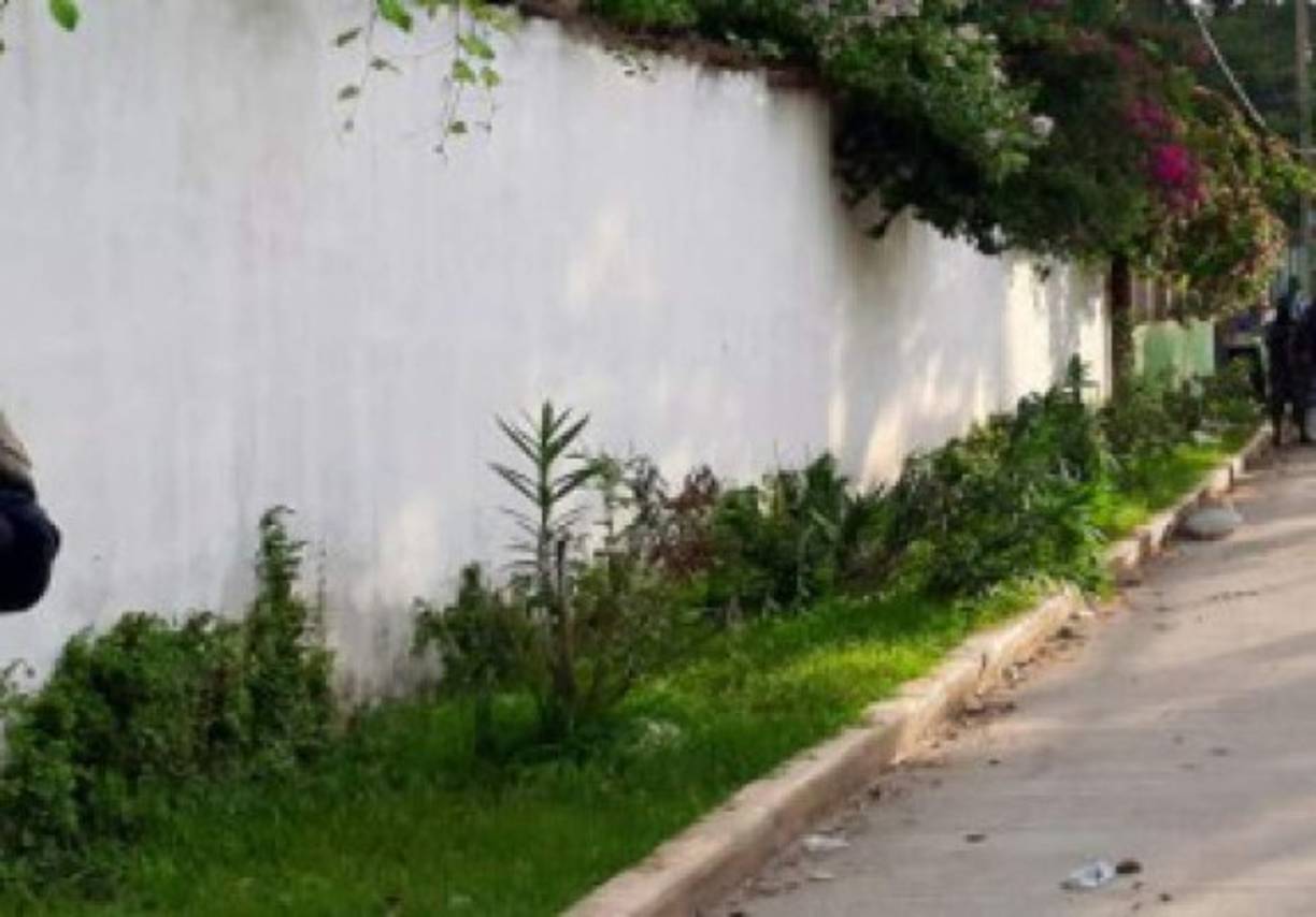 El señor de la tercera edad supuestamente dañó las plantas que están a la orilla del muro perimetral donde el italiano tenía un jardín.