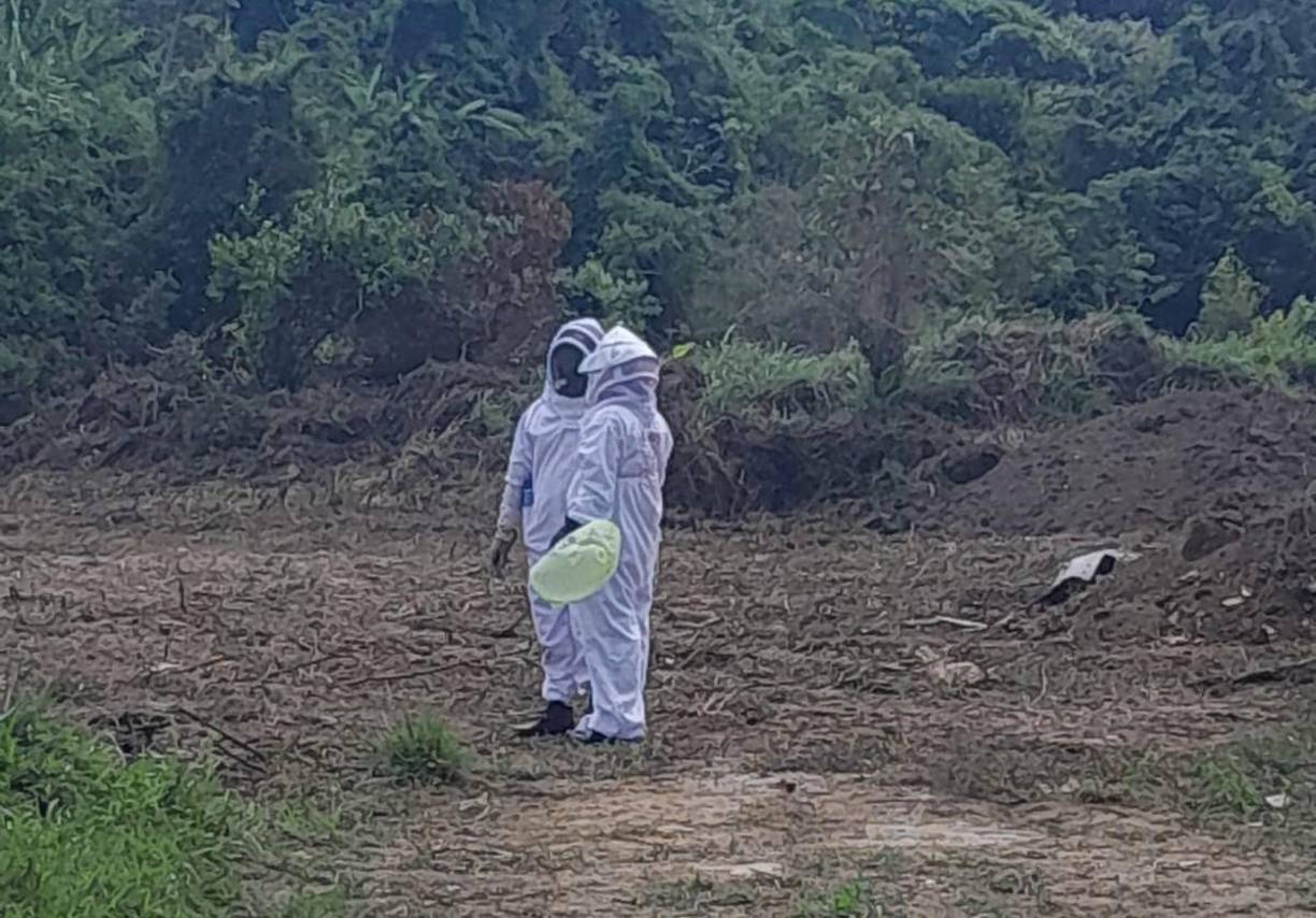 “Tenía picaduras en todo el cuerpo, no pudimos hacer nada” para salvarlo, dijo Marco Antonio Zúñiga, sobrino de la víctima.