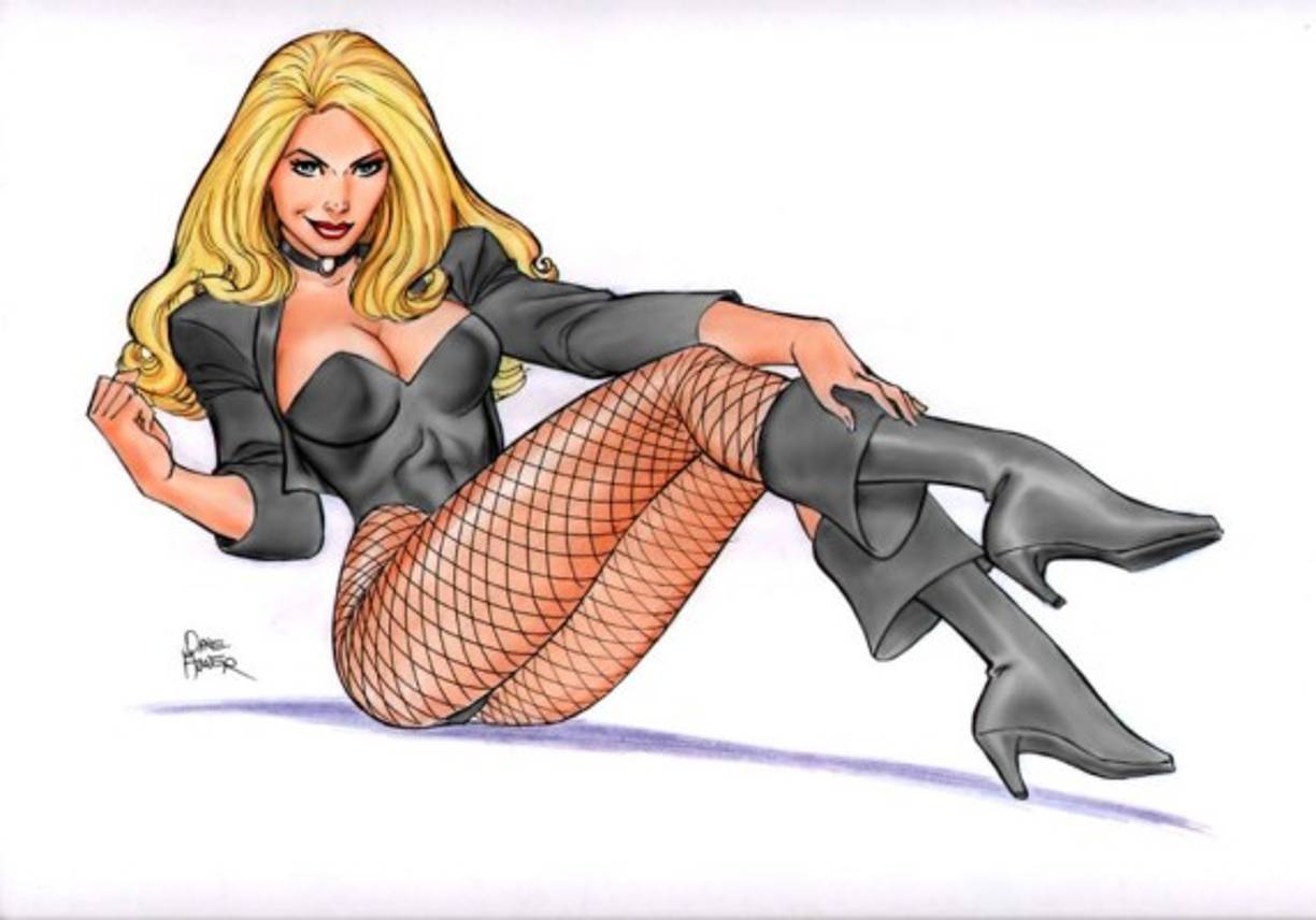 CANARIO NEGRO<br/>Identidad : Dinah Drake<br/>Poderes/habilidades: Grito de Canario, un chillido ultrasónico que aturde a sus enemigos e incluso destruye objetos <br/>