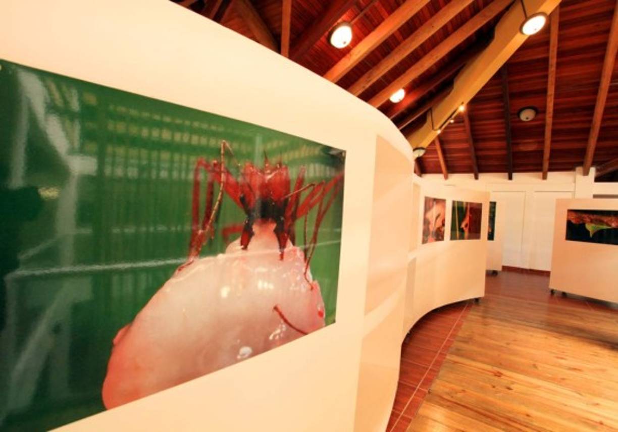 El nuevo Centro de Visitantes. Fue construido en 2012 y es un espacio abierto a exposiciones, talleres y conferencias a lo largo de todo el año.