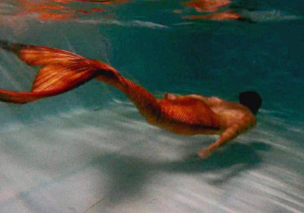 'Estoy feliz de que todos mis amigos y familiares me aman ser un pez y les encanta ir a nadar conmigo y disfrutar de tomar cien fotos de mí como una criatura del mar azul profundo.